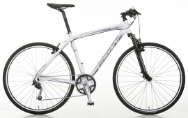 Sporster P4 Men