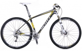 Scale 29 RC
