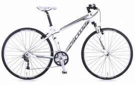 Sportster 25 Solution