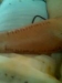 Se��vanej Such��