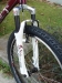 SCOTT 2008 - Contessa 40
