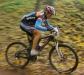 SCOTT SPARK Contenssa