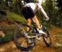 Modely SCOTT 2008 - Genius