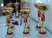 �esk� poh�r 2008 XC aneb Ku�ka