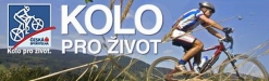 KP� 2008 - Brnisko