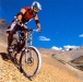 SCOTT a DOWNHILL XIII - SCOTT HIGH OCTANE 4