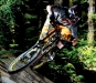 SCOTT a DOWNHILL X - Gambler