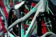 SCOTT 2009 - Voltage LTD