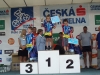 St��brnej zlosyn a st�do medv�d�
