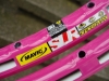 R��ov� podruh� aneb Crossmaxx SLR 2009
