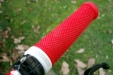 Modely SCOTT 2009- Gambler DH-10 - Gripy