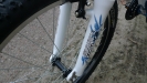 SCOTT 2009 - Contessa 50