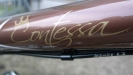 SCOTT 2009 - Contessa 10