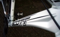SCOTT 2009 - Sportster P55