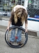 Obrana proti bodnut� 6. - Pit Stop TNT - instalace