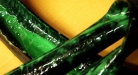 Obrana proti bodnut� 11 - Du�e s protidefektovou n�pln�