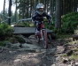 Zlosyn ve �pindlu