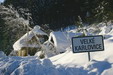 Karlovice 2.7 2006