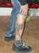 No�n� k�rky a MX Srb�k