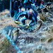 V�zva, Prav�k DH a V�no�ky