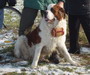 Posledn� Kopec 2006