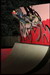 DVD ji� z�tra a prohl�en� MM