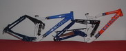 Chamele�n z Olm�ku