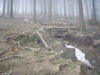Krupka ano, Kl�novec ne