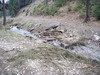 Krupka ano, Kl�novec ne