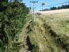 �tolda informuje aneb Kl�novec za��n�
