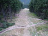 �tolda informuje aneb Kl�novec za��n�
