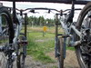 Posledn� info