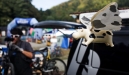 Konec z�vod�, za��tek lad�n�