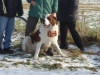 Posledn� kopec 2009