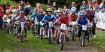  Mini Stars D6 aneb zlosyn redaktorem