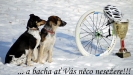 V�noce a Nov� rok