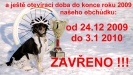 V�noce a Nov� rok