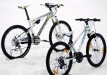 Podoba �ist� n�hodn�?
