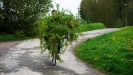 Prov�rka b�lou�� a trat� Manitou