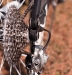 SCOTT 2012 - Spark RC 2012!!!