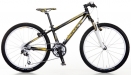 �norov� tuning SCOTT - 3