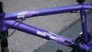SCOTT pro d�my - Contessa 20 - Fialka poprv�