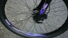 SCOTT pro d�my - Contessa 20 - Fialka poprv�