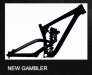 SCOTT 2013 � Gambler
