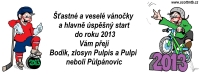 PF 2013