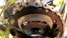 Pulpis�v SCOTT Scale RC - V.