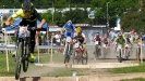 Pulpis na zlat� vln�