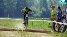 Pulpis na zlat� vln�
