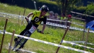 Pulpis na zlat� vln�