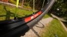 Pulpis�v SCOTT Scale RC - VIII.